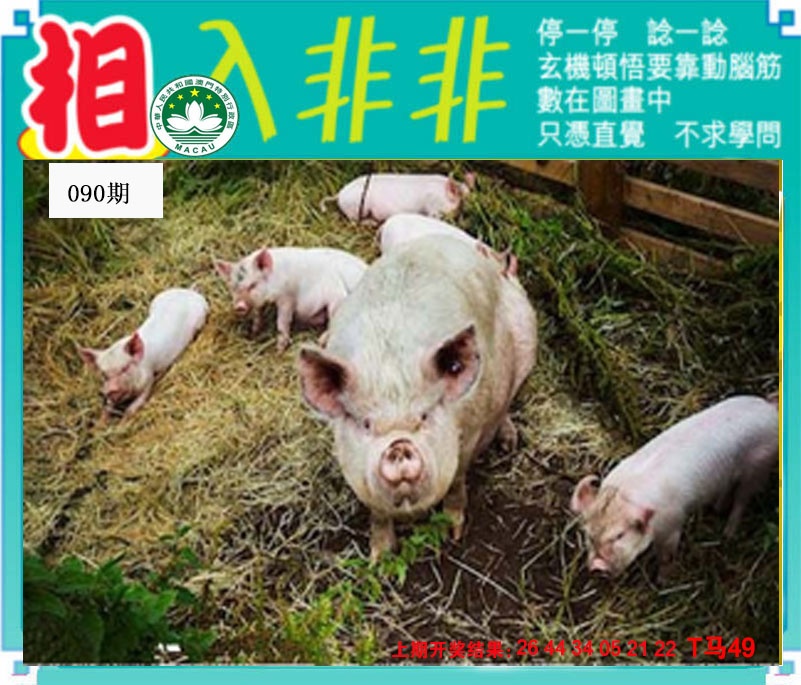 090期相入非非[图]